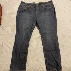 Torrid Denim Jeans